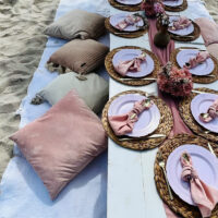 Bohemian Picnic Setup - Image 14