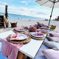 Bohemian Picnic Setup - Image 17